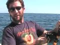 Jack Crevalle fishing