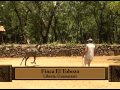 Criadero de caballos El Tobozo, 2da parte