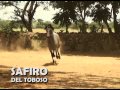 Criadero de caballos El Tobozo, 2da parte
