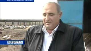 Новые птицефермы в Ростовской области