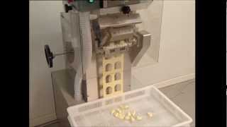 tortellini maker machine
