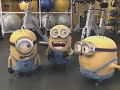 Despicable Me - Minions on