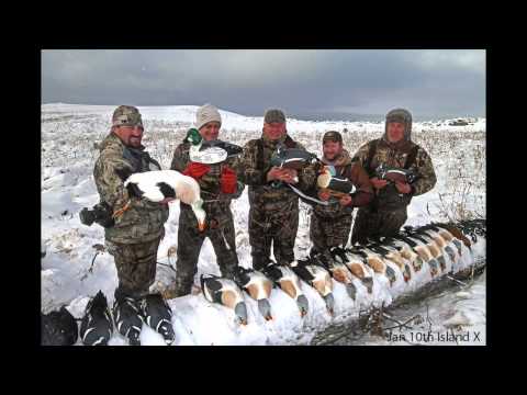 Hunting Seasons In Fairbanks Ak