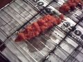 Salt and Brown Sugar Cure for Trout and Salmon Eggs roe . ALL NATURAL Mr Chomp