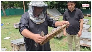 जम्मू-कश्मीर के ज़िले अनंतनाग ने शहद उत्पादन में बनाई अपनी खास पहचान