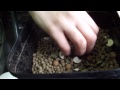 carp hut media | a day at bog grove