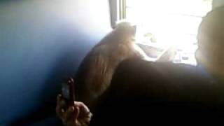 Duronto Express Inside