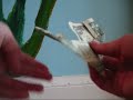 2 - How To Make A Heart Out Of Money! Very Easy!