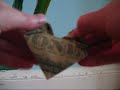 3 - How To Make A Heart Out Of Money! Very Easy!