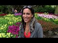 Keukenhof Gardens and Tulip Fields Tour from Amsterdam