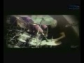 Το φιλαράκι - Αντώνης Ρέμος (To Filaraki - Antonis Remos)
