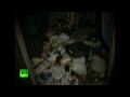 Video: Chaos, vandalism & looting as police strike in Argentinа