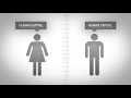 Do Women Earn Less than Men?