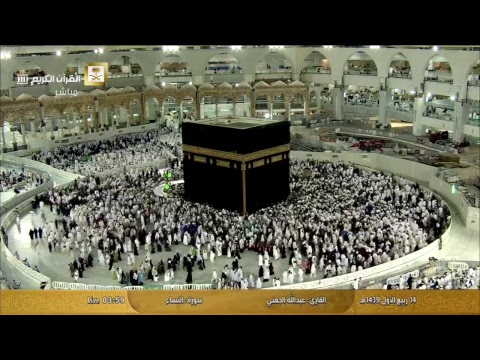قناة القران الكريم Live Stream - عربي تيوب