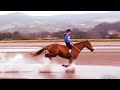 Galloping TACKLESS on the beach!