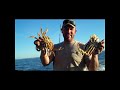2012 Washington State Salmon, Halibut and Lingcod fishing