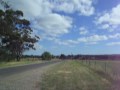 Plane Spotting - Melbourne Airport - Landing and Take Off shots