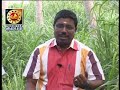 RAGU KETHU PEYARCHI 2012 KUMBAM BY DINDIGUL P.CHINNARAJ ASTROLOGER INDIA