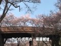 中山たかし - 高遠さくら悲恋