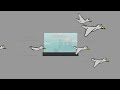 Universal Themes - Freedom Animation