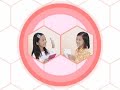 神奇寶貝 黑版 / 白版-宣傳影片 2-NDS-巴哈姆特GNN