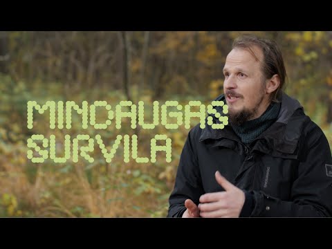 Kūrybingumo mokykla. Menininkai kaip mokslininkai. Mindaugas Survila. Sengirė