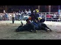 Jaripeo en feria 2013 de Zitacuaro , Michoacán