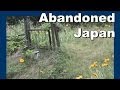 Flowers in an Abandoned Japanese Garden