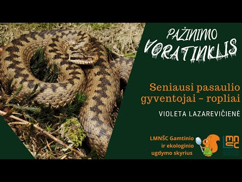 LMNŠC nuotolinių gamtos pamokų ciklas „Pažinimo voratinklis“. Seniausi pasaulio gyventojai – ropliai