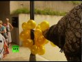 Dinosaurs in Australia: Fright at the Museum