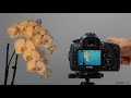 Canon 5D tutorial: Manual white balance | lynda.com
