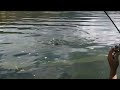 WOW!! BIG TROUT CAUGHT USING LIP RIPPERZ & THE LOVE SAUCE