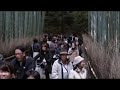 Bamboo Groves of Arashiyama, Kyoto Prefecture