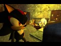 Shadow The Hedgehog Easter Day