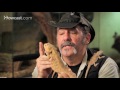 8 Care Tips for Bearded Dragons | Pet Reptiles