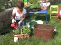 Container Gardening: Container Herb Garden