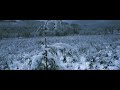 Colin Stetson -