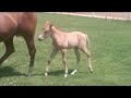 Rancho San Miguel,