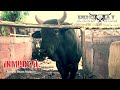 ENTREVISTA Rancho