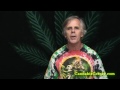 Cannabis Pest Control
