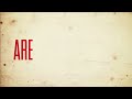 P!nk - Are We All We Are (Official Lyric Video)