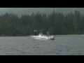 Tofino Fly Fishing for Saltwater Salmon