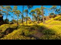 Timelapse Captures Galactic Core of the Milky Way