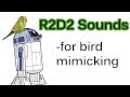 Launch Mini Player