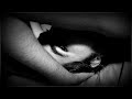 Cosmic Cowboys - If You Leave Tonight (Kollektiv Turmstrasse Remix)
