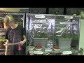 Hydroponic tomatoes Part 2 - Hydro Grow vs HTG vs Generic