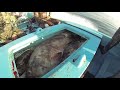 Spearfishing Hunting Big Groupers in the shallows.