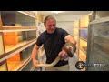 Python Bites! SnakeBytesTV
