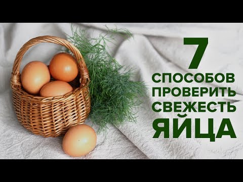 Как проверить яйца на сальмонеллез в домашних условиях