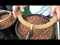 Hydro Halo Aussie Halo's Grow Room Drip System Set up Best Easiest Drip System indoor Garden